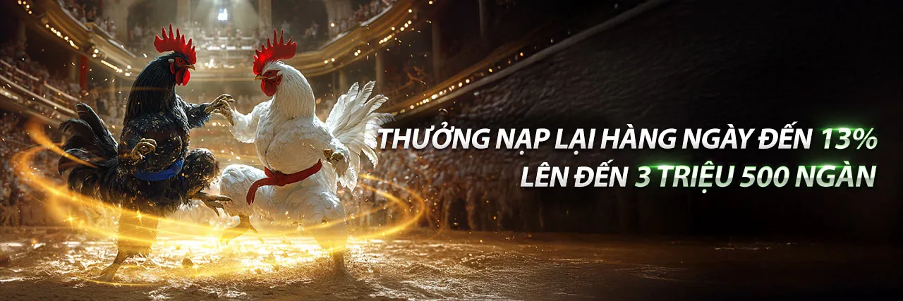 Đá gà 8kbets login - Sân chơi cá cược trực tuyến đỉnh cao